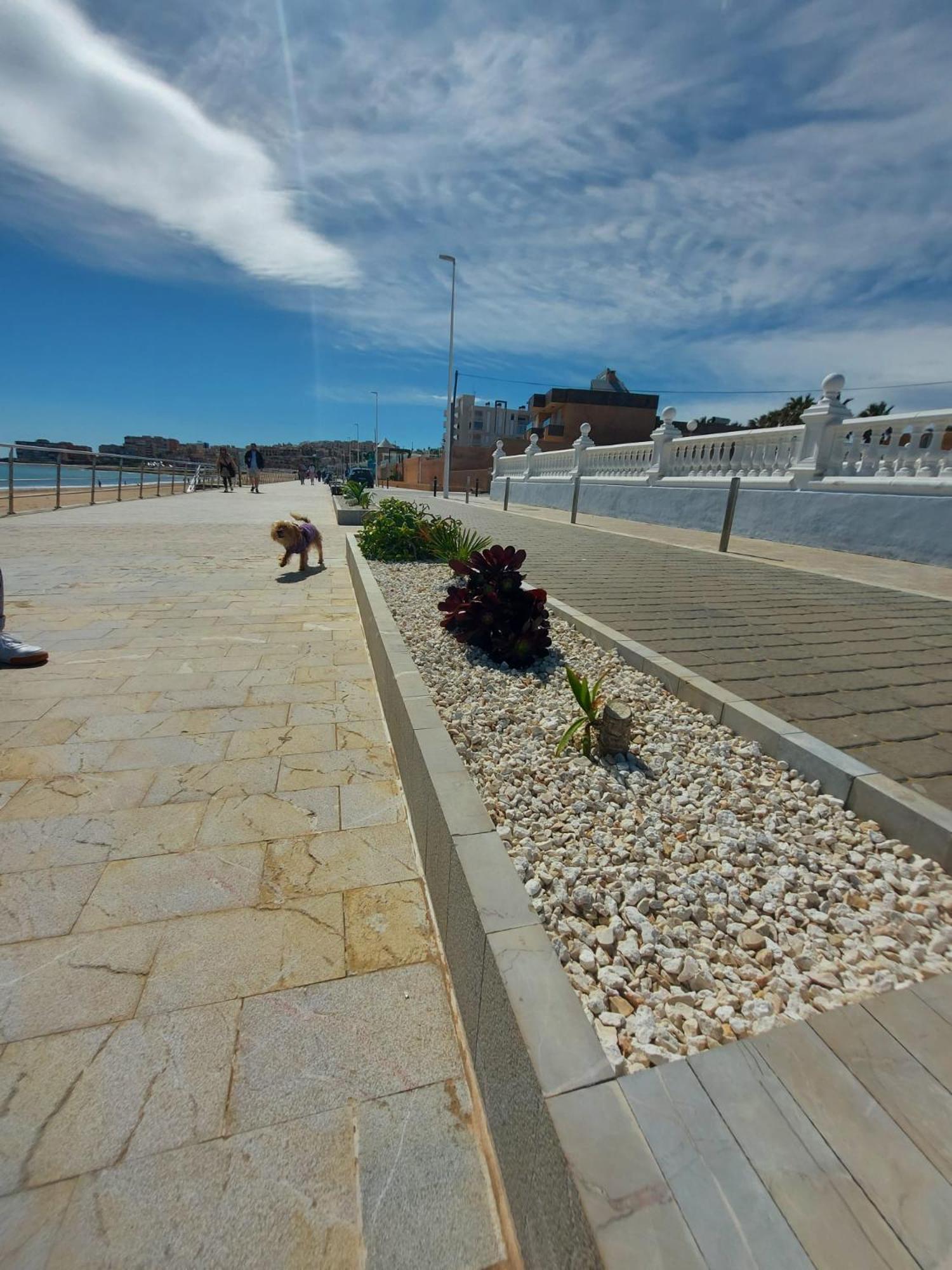 Maravillosa Terraza Con Vistas Al Mar, La Mata Torrevieja Extérieur photo